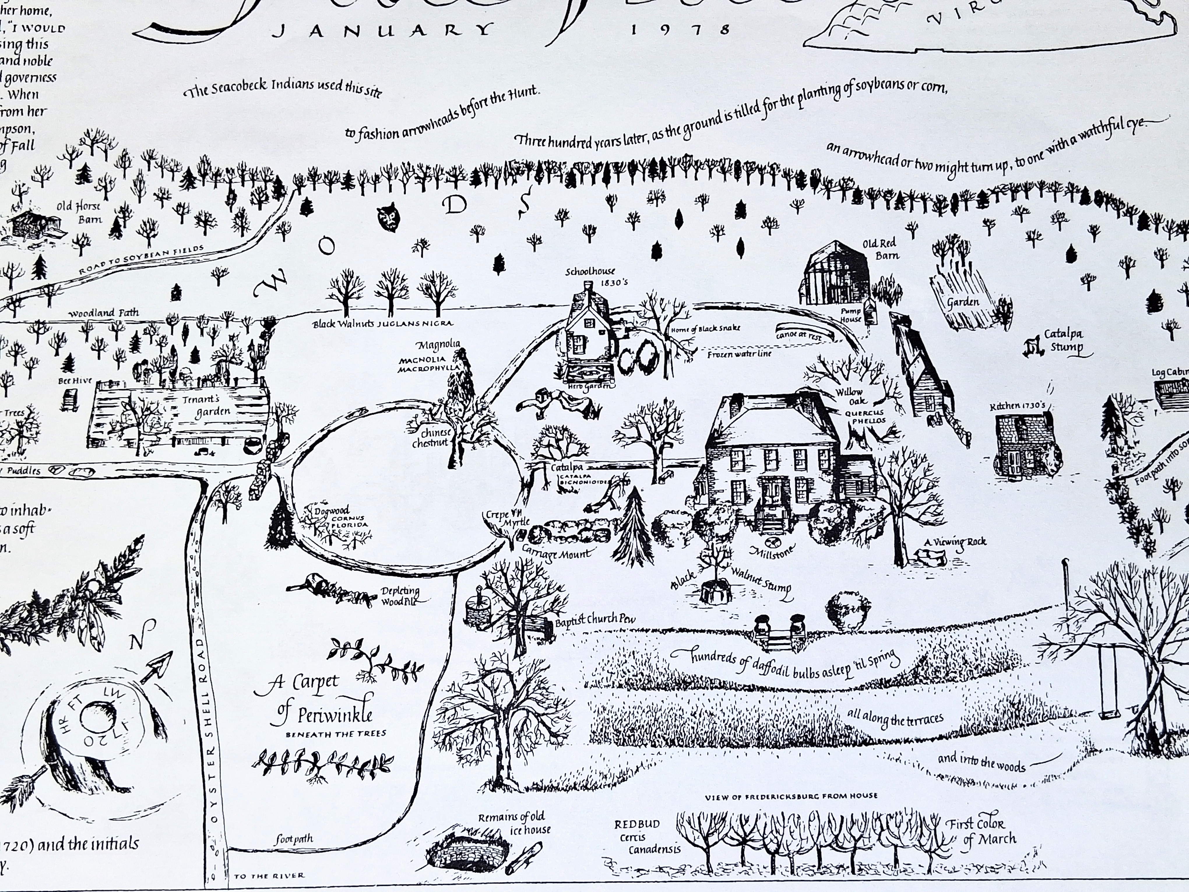 Hand‑drawn Fall Hill map with terraces and periwinkle